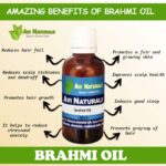 Uses benefits of brahmi oil