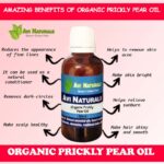 Uses benefits of organic prickly pear oil
