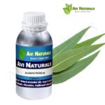 Eucalyptus Radiata Oil 500ml