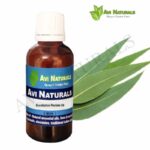 Eucalyptus Radiata Oil 50ml