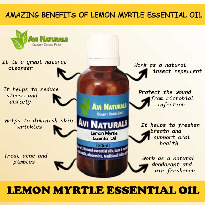 Lemon Myrtle Essential Oil Wholesale Supplier in India