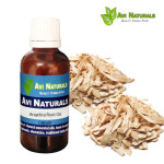 Angelica Root Oil 50ml