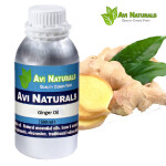 Ginger oil 500ml