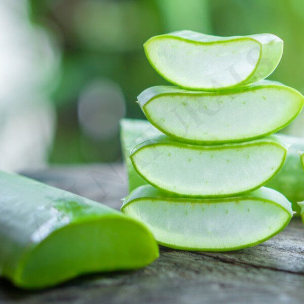 Aloe vera fragrance oil