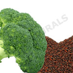 Broccoli Seed Oil