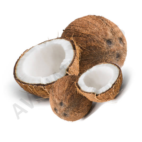 White Coconut Fragrance Oil