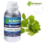 Coriander Hydrosol 500ml
