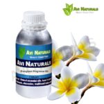 Frangipani Fragrance Oil 500ml