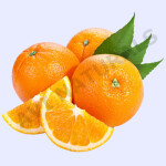 Orange Fragrance Oil