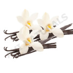 Vanilla Fragrance Oil