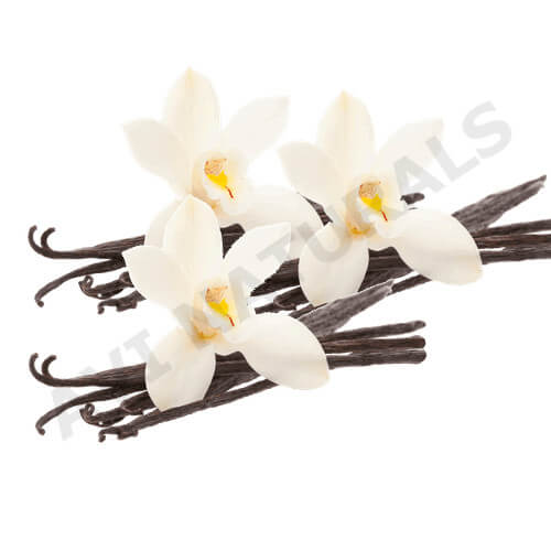 Vanilla Oil Wholesale Supplier and Manufacturer in India