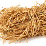 Vetiver Fragrance Oil