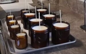 Saffronkesarfragranceoil