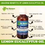Uses and benefits of lemon eucalyptus oil