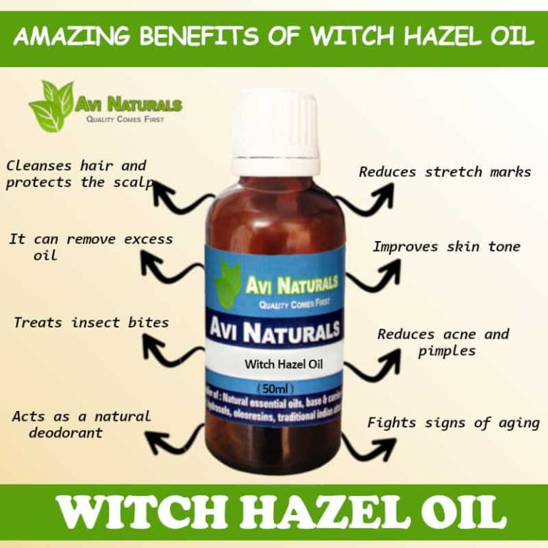 Witch Hazel Oil Wholesale Supplier and Manufacturer in India