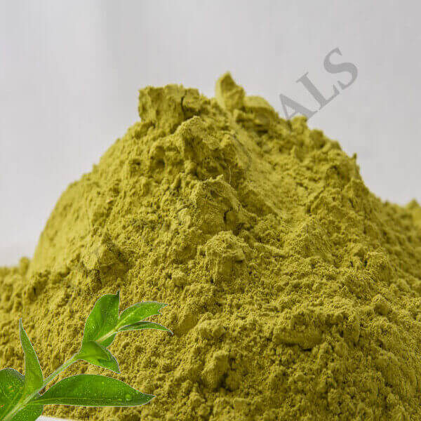 Alkanna tinctoria Dark Red Alkanet Root Powder Dye, Packaging Type: Packet  at best price in Ghaziabad