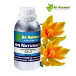 Champa(Magnolia) Hydrosol 500ml