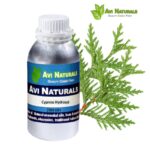 Cypress Hydrosol 500ml