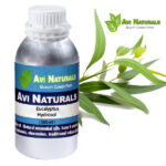 Eucalyptus Hydrosol 500ml