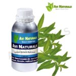 Lemon Verbena Hydrosol 500ml