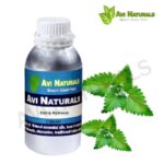 Catnip hydrosol 500ml