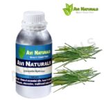 Citronella hydrosol 500ml