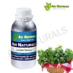 Holy basil h hydrosol 500ml