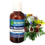 Bouquet fragrance oil suppliers