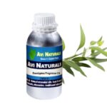 Eucalyptus fragrance oil manufacturers