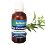 Eucalyptus fragrance oil suppliers