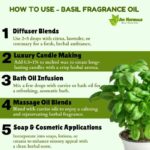 How to use basil fragrance oil