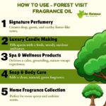 How to use forest visit fragrance oil