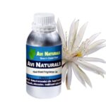 Raat rani fragrance oil manufacturers