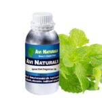 Spice mint fragrance oil manufacturers