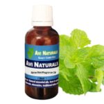 Spice mint fragrance oil suppliers