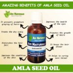 Uses benefits of amla seed oil