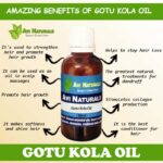 Uses benefits of gotu kola oil
