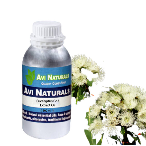 Eucalyptus co2 extract oil 500ml