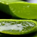 Aloe Vera Liquid Extract