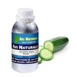 Cucumber Liquid Extract 500ml