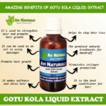 Gotu Kola Liquid Extract 50ml