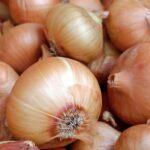 Onion Liquid Extract