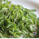Moringa extract