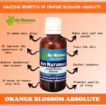 Orange Blossom Absolute