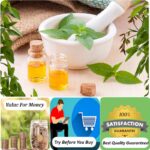 Order essential oils kits
