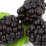 Blackberry Fragrance Oil