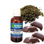 Chocolate Musk Fragrance Oil 50ML