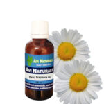 Daisy Fragrance Oil 50ML