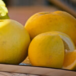 Grapefruit Fragrance Oil