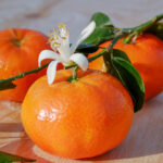 Mandarin Fragrance Oil